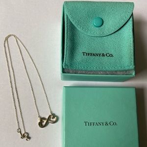 Tiffany & Co. Infinity Necklace